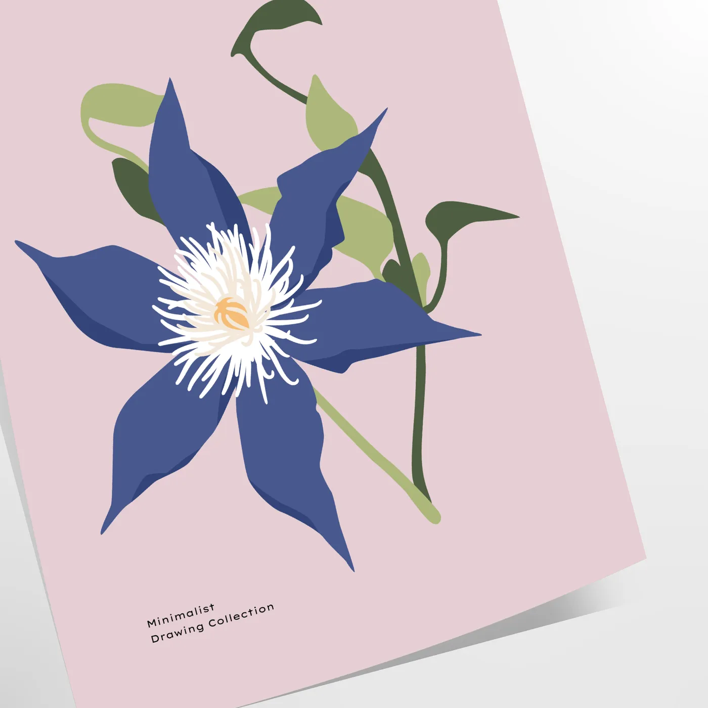 space captivating botanical art poster vibrant orange soothing gray hues wall thoughtful gift print nature elegance indoors sizes A4 cm A0