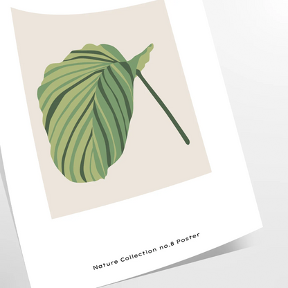 space vintage botanical prints poster charming wall art vibrant green blue hues elegance room unique artwork thoughtful gift sizes A4 cm A0 timeless today